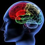 BrainFocus BrainFocus